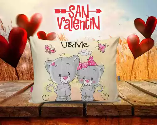 vectores plantilas SAN VALENTIN,FESTEJO,FESTIVIDAD,AMOR,DUOS,COJINES,CARICATURA,DISNEY,